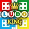 Ludo King™