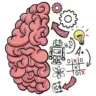 Brain Test