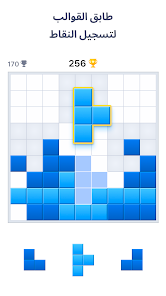 لقطة شاشة من لعبة كتلة لغز – Blockudoku