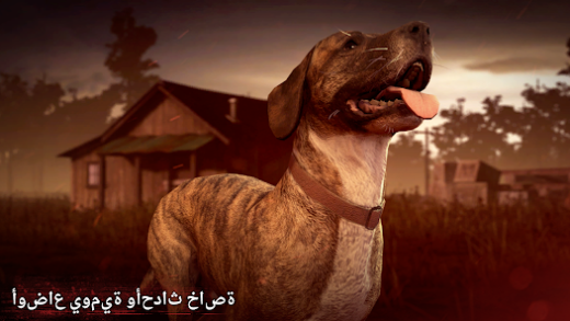 لقطة شاشة من Into the Dead 2