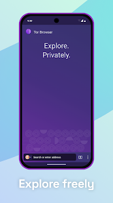 لقطة شاشة من Tor Browser