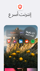 لقطة شاشة من متصفح الويب الخاص الشجاع